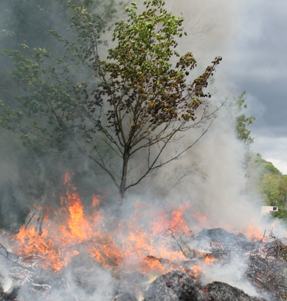 Burn Baby Burn 2015